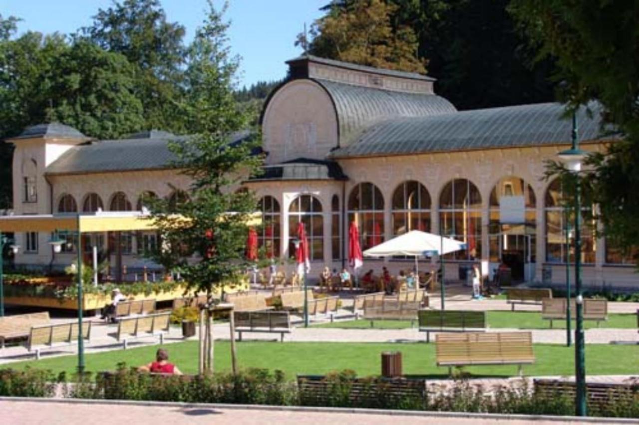 Wellness Pension Iveta Žacléř Εξωτερικό φωτογραφία